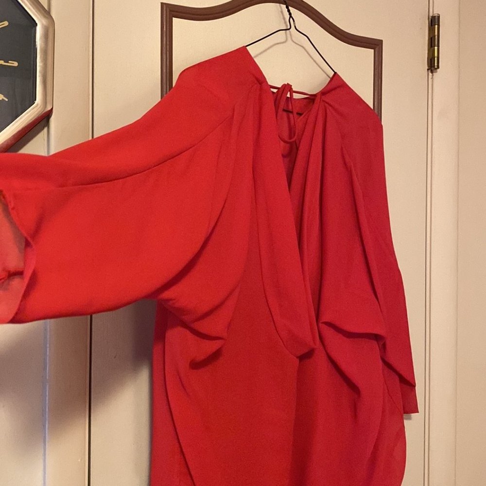 Red Flapper Dress - Picture 3 of 5